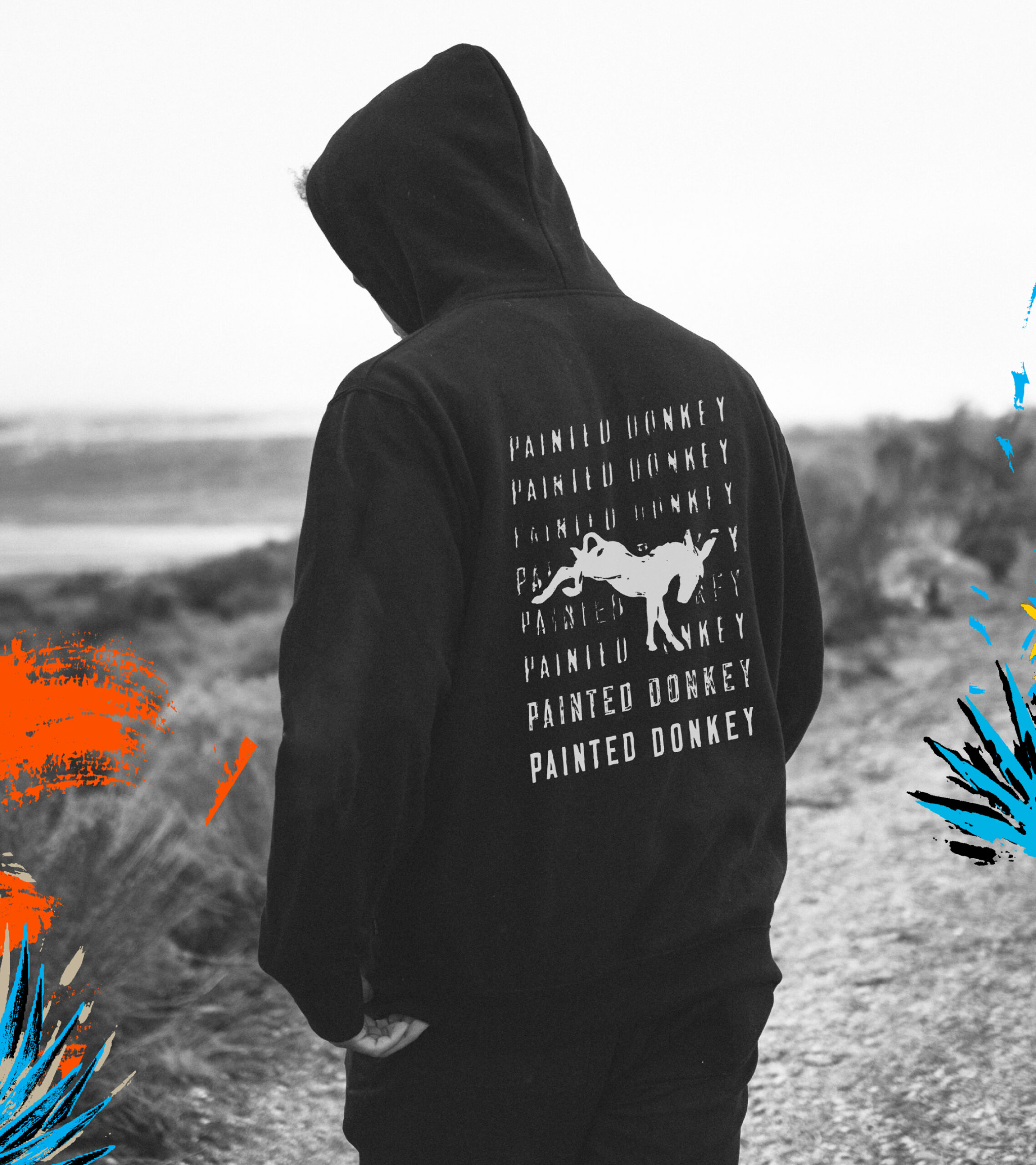 Painted Donkey sweatshirt